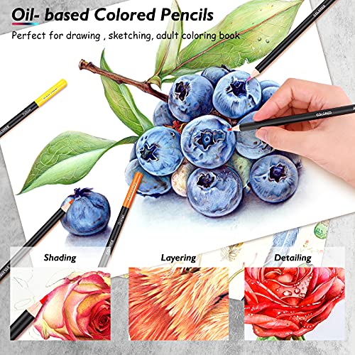 Soucolor 73 Art Supplies for Adults Kids, Art Kit Drawing Supplies  Sketching Pencils Coloring Set with Sketchbook, Coloring Book, Charcoal  Metallic