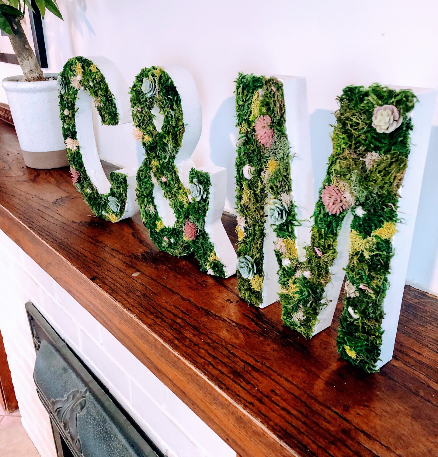 Customizable Garden-Inspired Moss, Succulent Monogram Letters