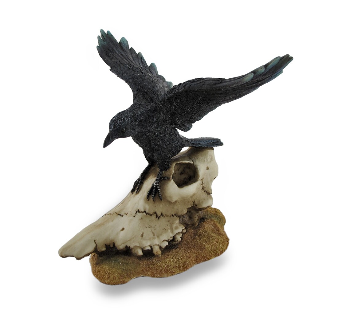 Black Open Winged Crow Perched On Sheep Skull Sculptural Figurine