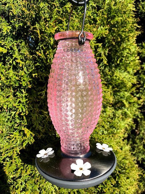 Hummingbird Feeder PINK Hobnail