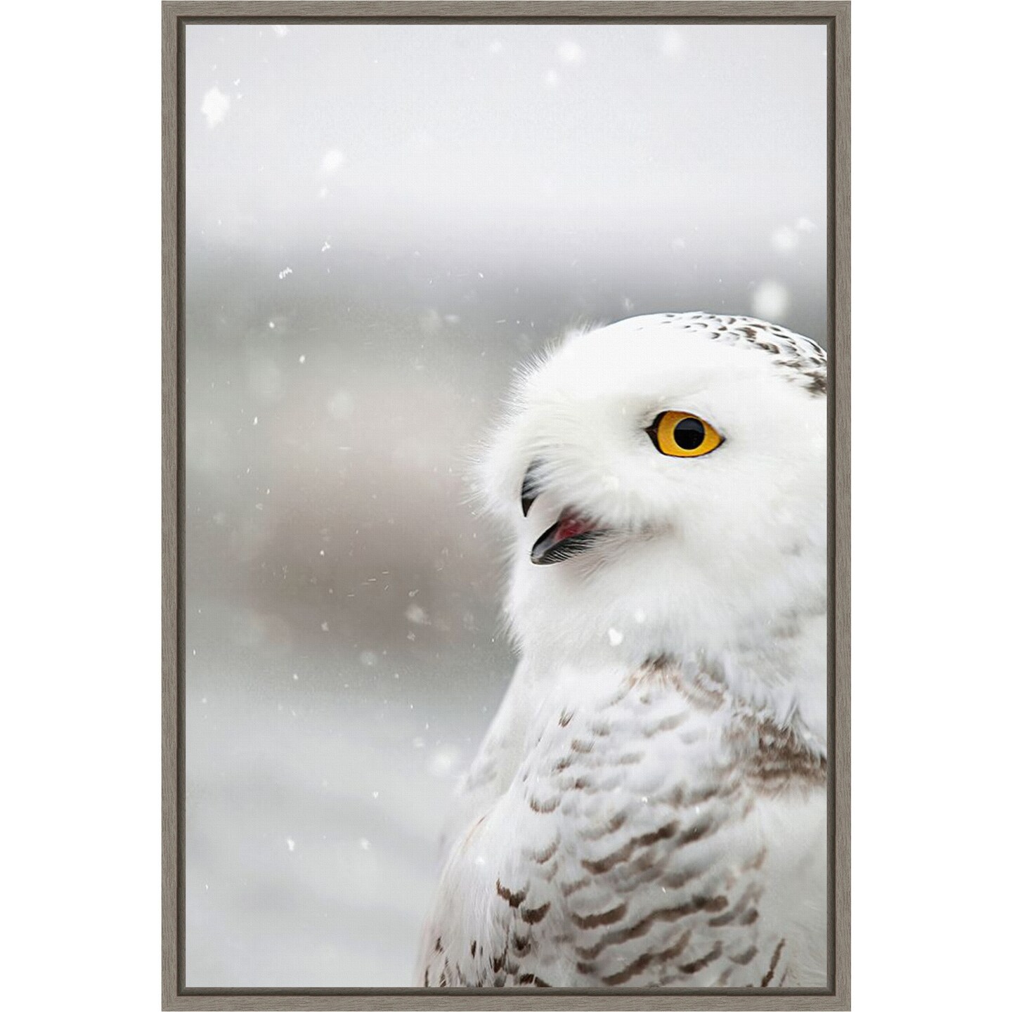 Snowy Owl in the Snow by Carrie Ann Grippo-pike Canvas Art Framed