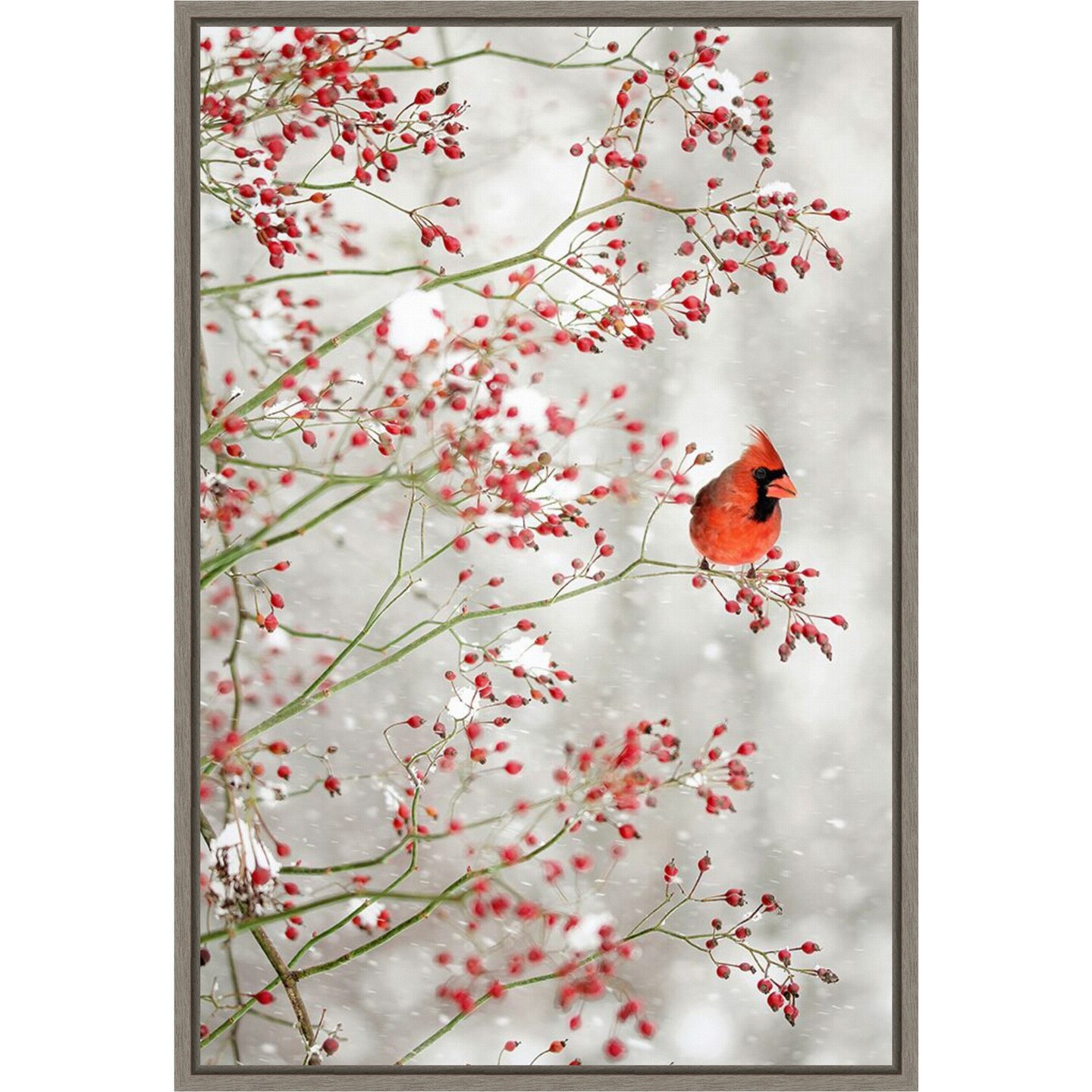 Red Cardinal and Red Berries by Carrie Ann Grippo-pike Canvas Art Framed