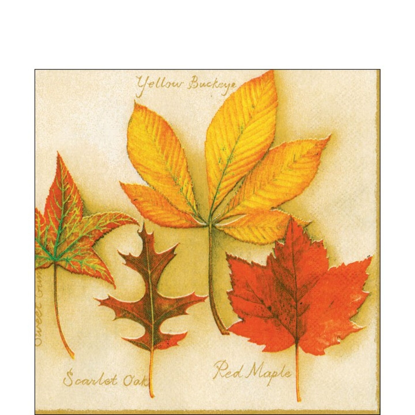The Ribbon People Pack of 60 Autumn Leaves 3-Ply Cocktail Napkins 5&#x22;