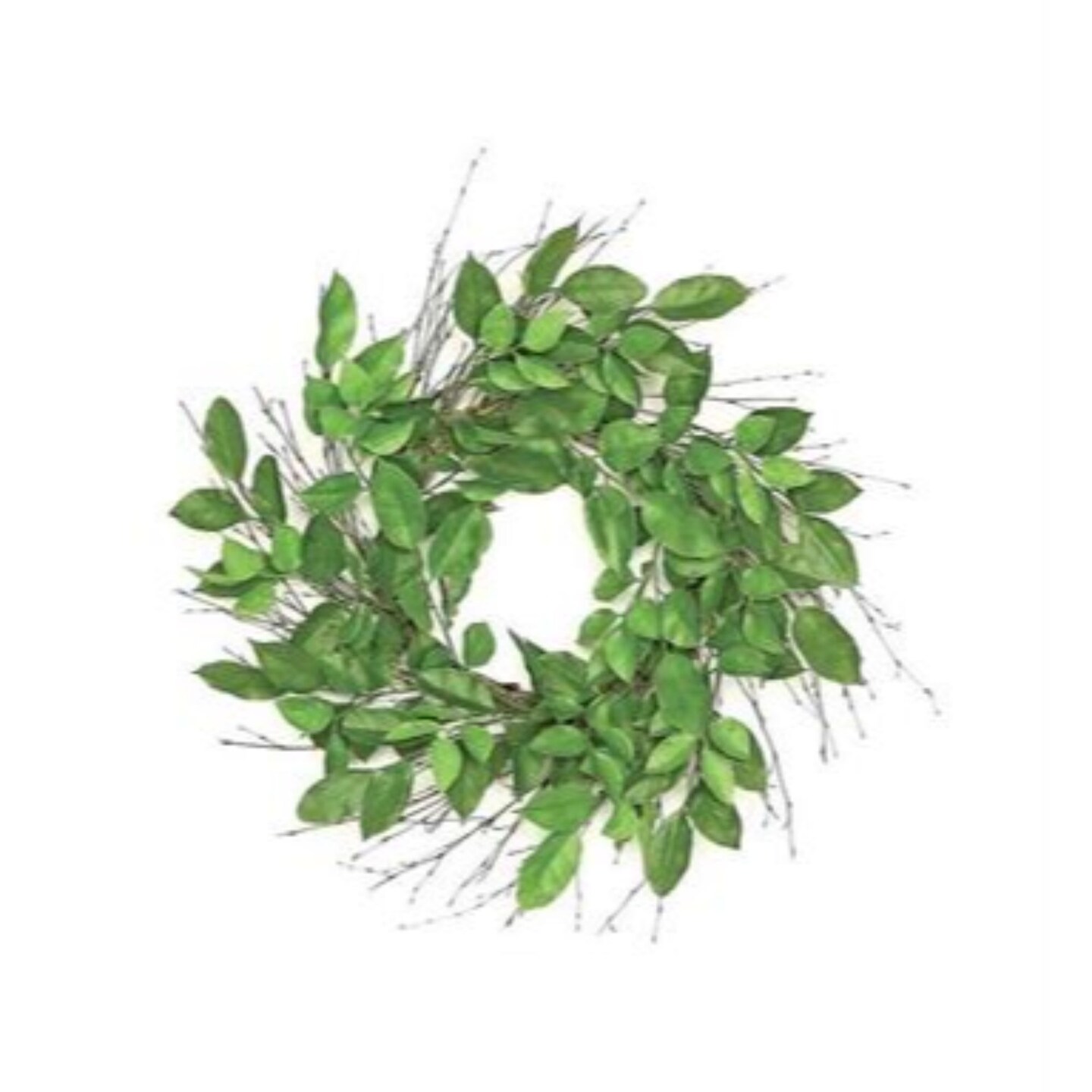 Select Artificials Lemon Leaves Nature Inspired Artificial Spring Wreath, Green 24-Inch