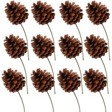 Lacquered Pine Cone Picks, 12-Pack of Natural Brown Rustic Accents for Christmas Trees, Wreaths, and Holiday Decor - 2024 Christmas Collection, Floral Home by Artificial Flowers