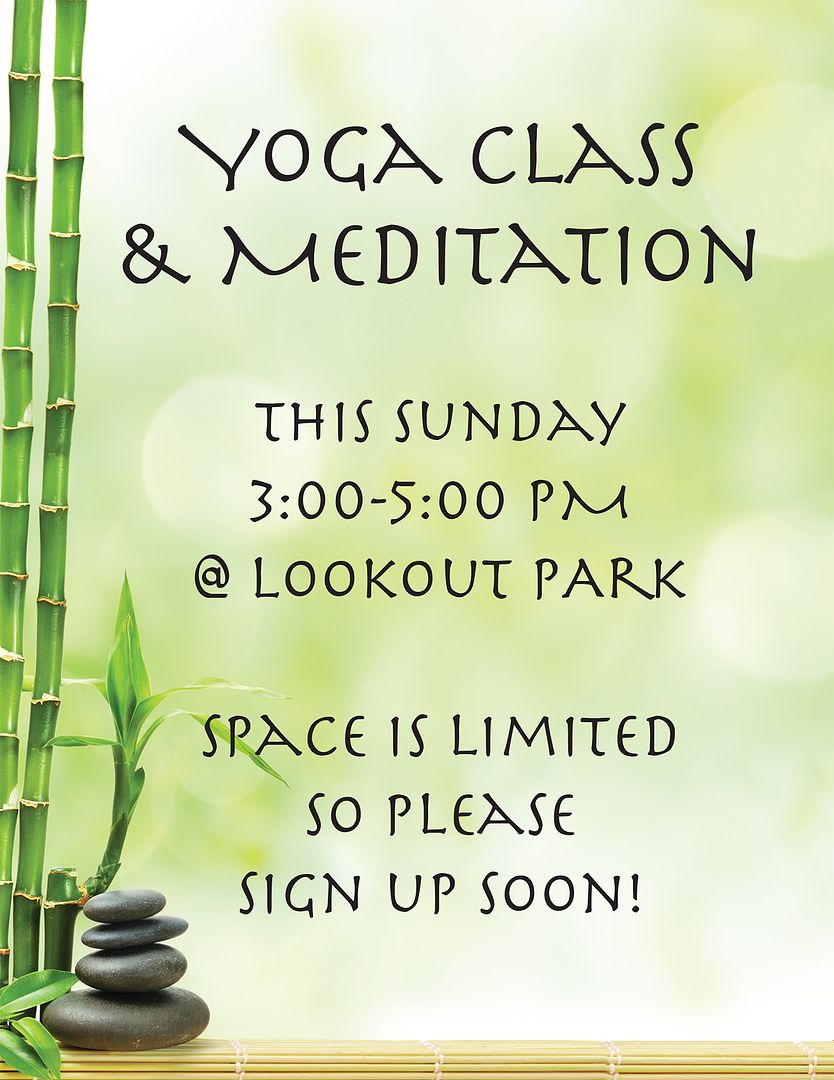 Great Papers! Serenity and Bamboo Stationery Letterhead, Invitations, Announcements and Personal Messages, Printer Friendly, 8.5"x11", 50 Pack