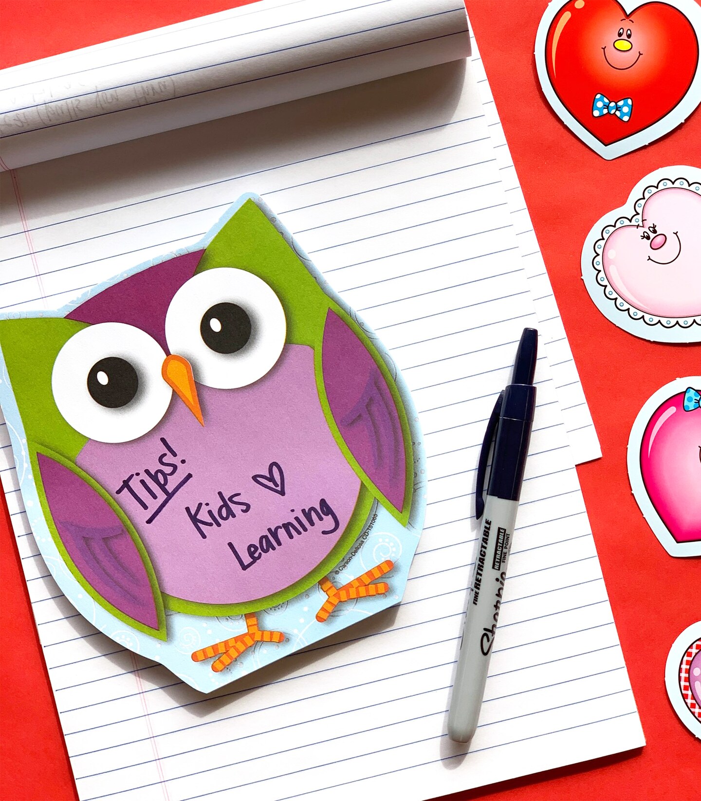 Carson Dellosa Notepad 4-Pack, Flower, Owl, Frog, and Bird Note Pad for Teacher or Student Desk, To Do List, Checklist, Notes, Cute Stationary for Spring Classroom and Office Supplies