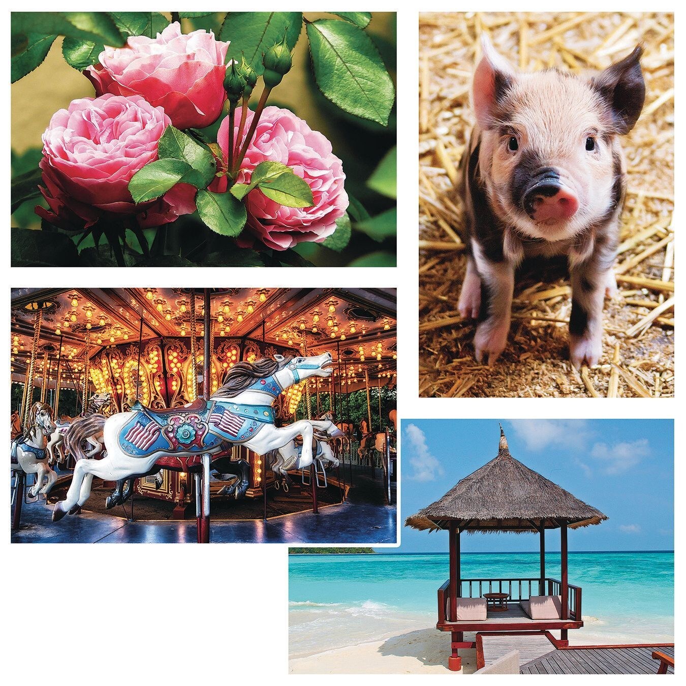 Thera-Jigsaw&#x2122; Foam Puzzles Set: Carousel Horse, Piglet, Pink Roses, and Beach Hut (Set of 4)