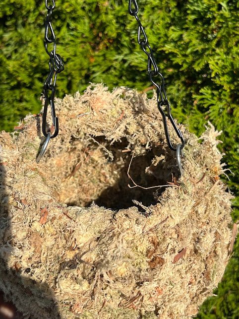 6&#x22; MOSS Hanging Planter -  Ball NATURAL