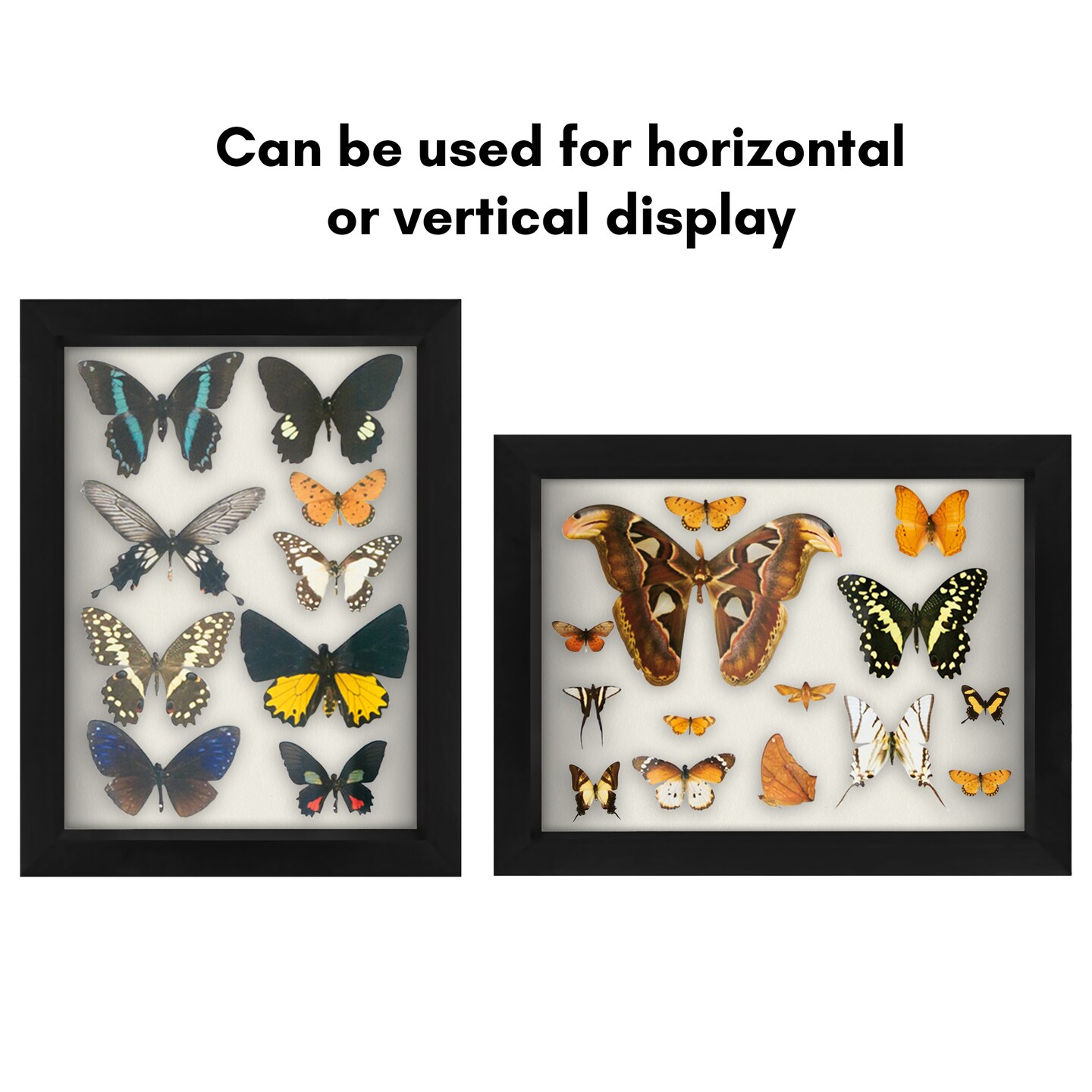 Americanflat Shadow Box Frame - 1.5 Interior Depth for Memorabilia - Display Case for Showcasing Souvenirs, Awards, and Medals - Shatter Resistant Glass - Hanging Hardware