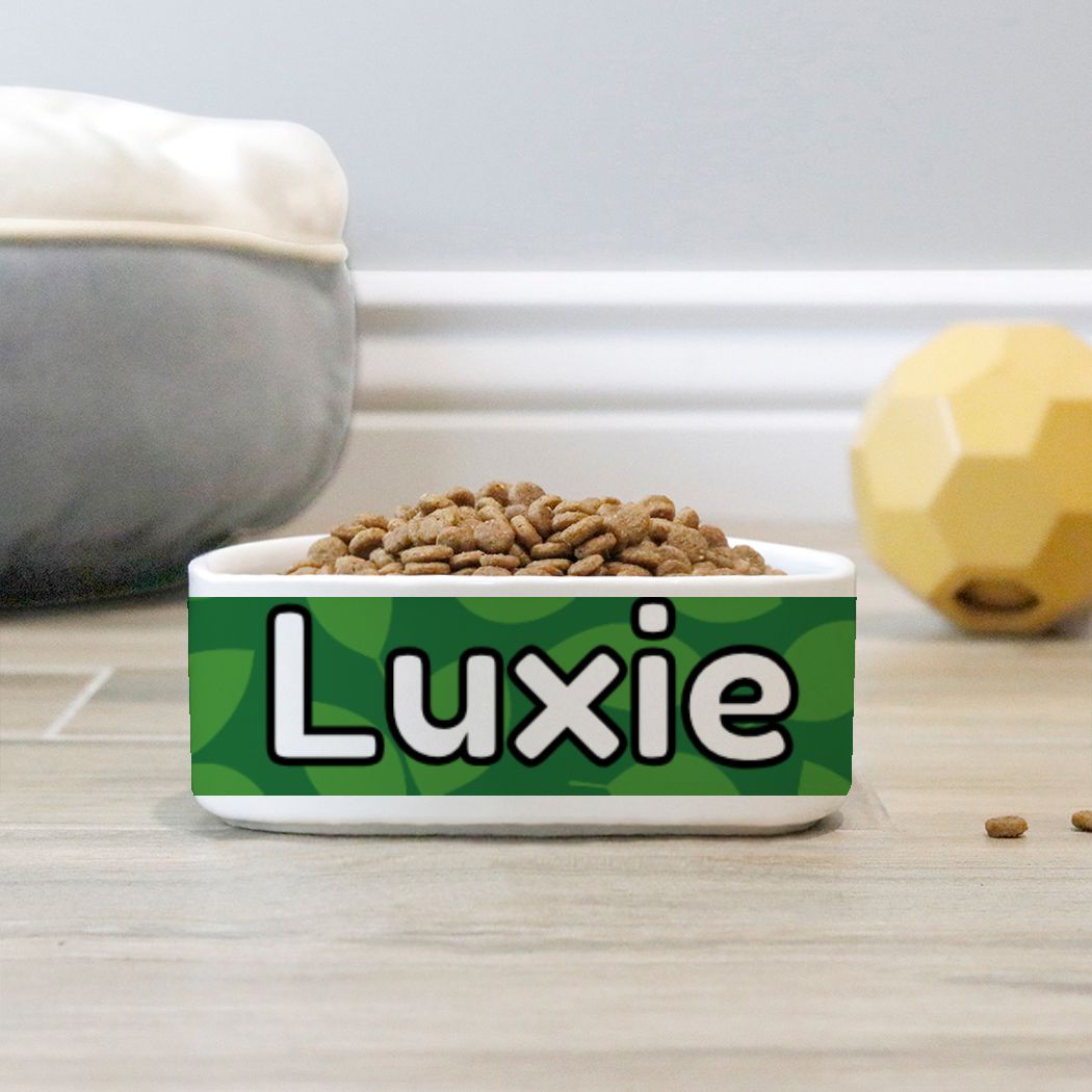 product name is Personalized Pet Food Bowl For Dog Custom Bowl For Cat Water Bowl Gift Idea For New Pet Green Leaf Print Pet Supply Food Bowl Custom Name