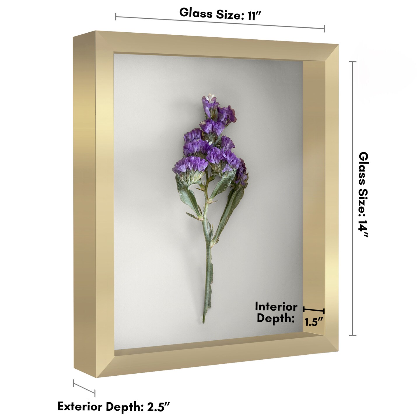 Americanflat Shadow Box Frame - 1.5 Interior Depth for Memorabilia - Display Case for Showcasing Souvenirs, Awards, and Medals - Shatter Resistant Glass - Hanging Hardware