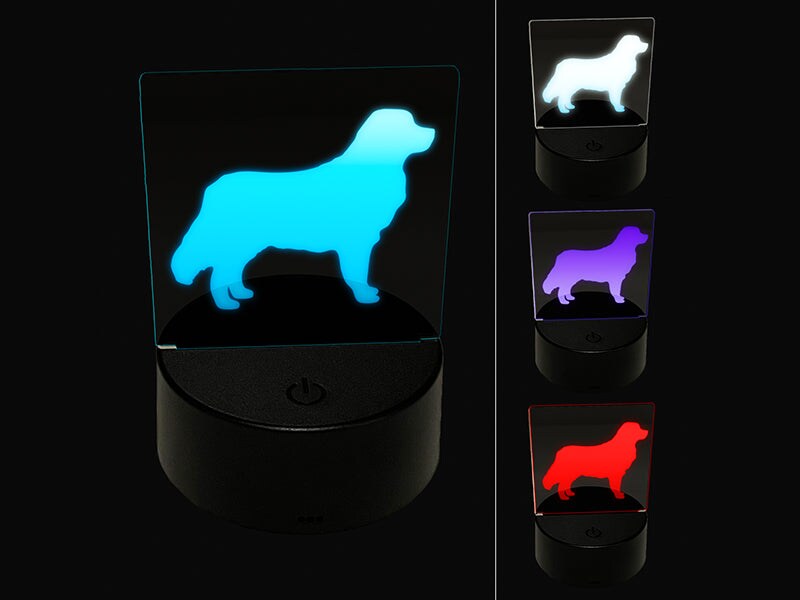 Bernese Mountain Dog Solid 3D Illusion LED Night Light Sign Nightstand Desk Lamp