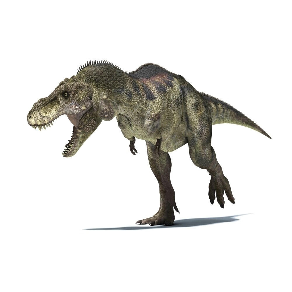 3D Rendering Of A Tyrannosaurus Rex Dinosaur Poster Print