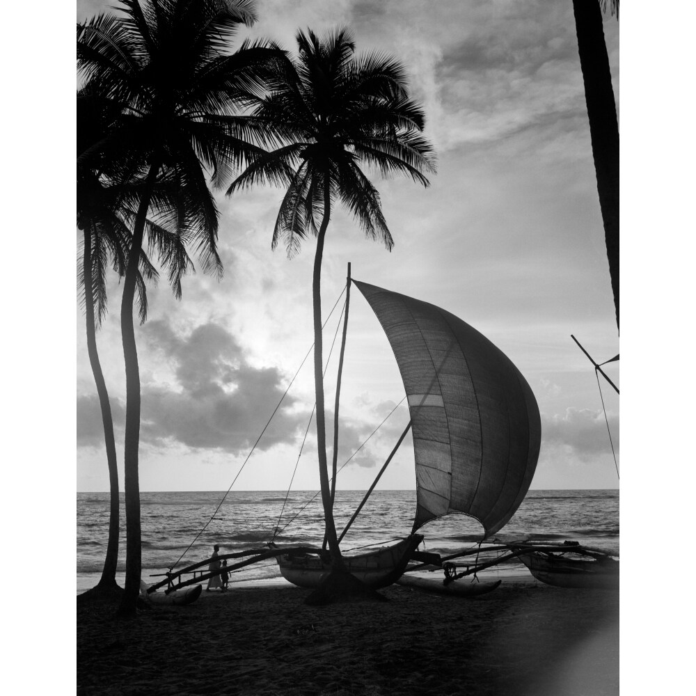 1930S Single Catamaran On Tropical Beach At Sunset Palm Trees Sri Lanka Poster Print By Vintage Collection