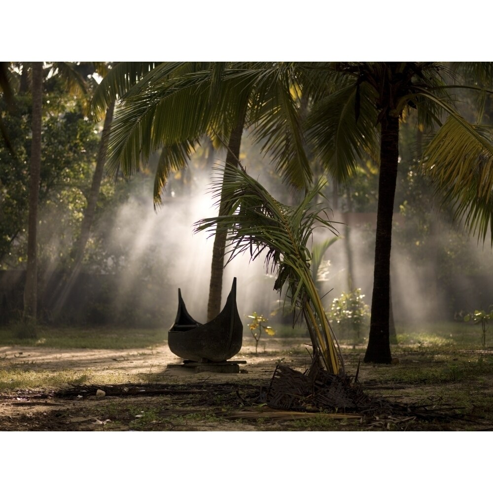 Canoe Under Palm Trees In Kerala India Poster Print