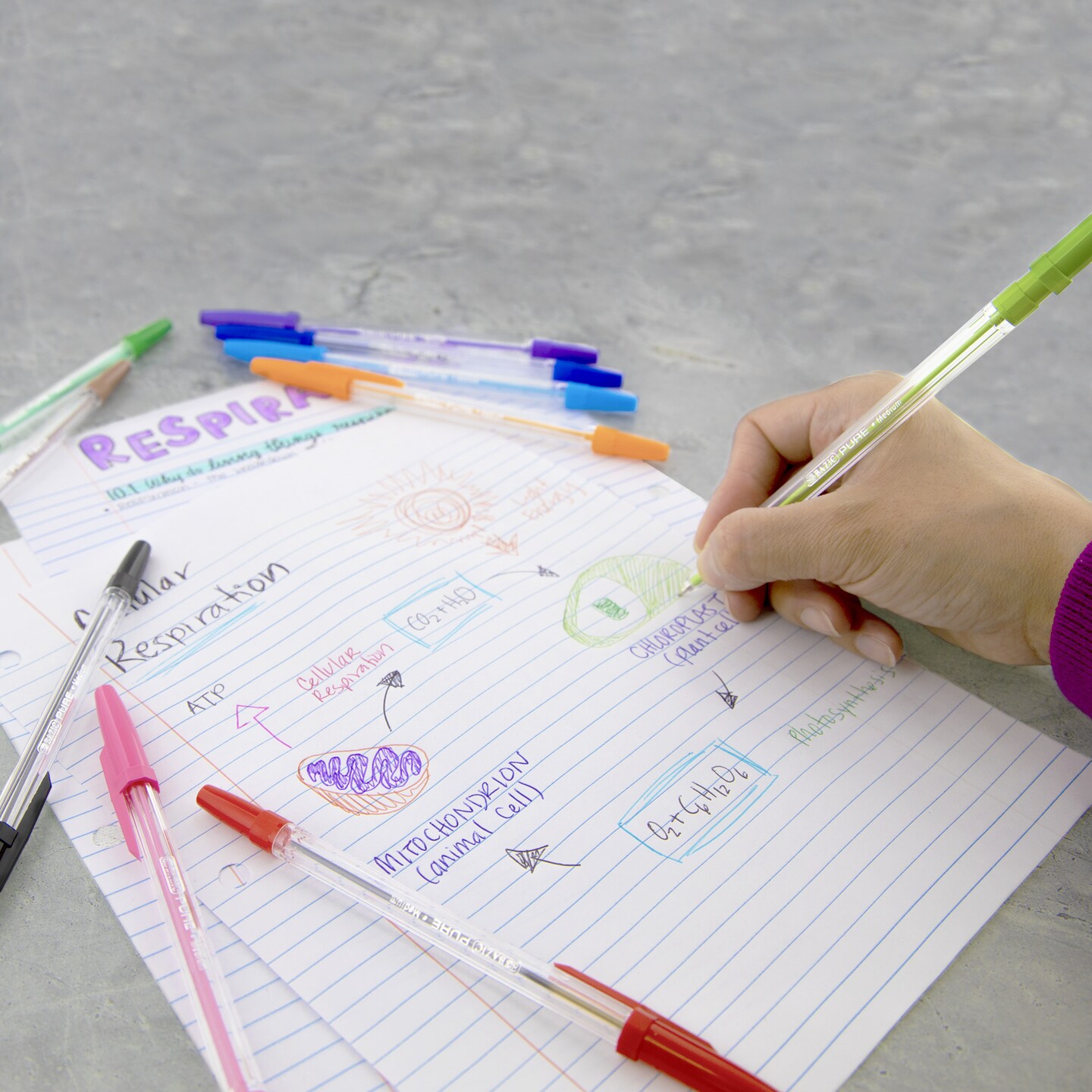 BAZIC 10 Pure Neon Color Stick Pen