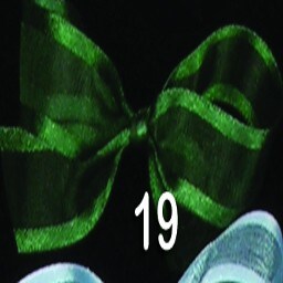 The Ribbon People Hunter Green Solid Edged Craft Ribbon 0.5&#x22; x 30 Yards
