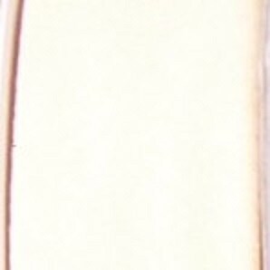 Athene New York Shiho【White Felt Ribbon】 Athene New York Shiho【White Felt Ribbon】 Athene New York