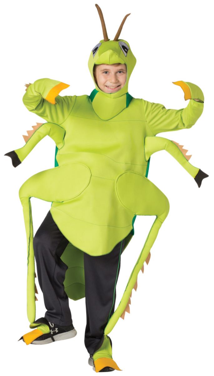 The Costume Center Green and Yellow Grasshopper Unisex Child Halloween Costume