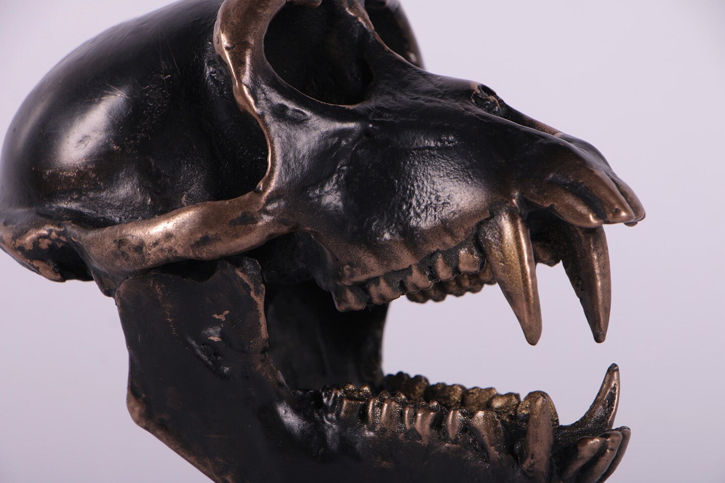 Monkey Macaque Skull Life Size Statue