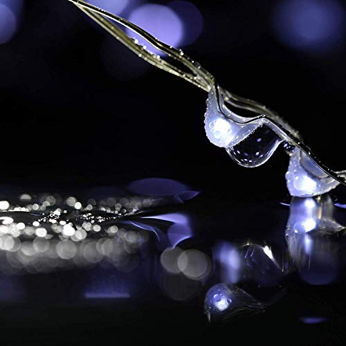 24 Packs Fairy Lights Battery Operated(Batteries Included),10.2FT 30LEDs Copper Wire Firefly Lights,Mini Starry String Lights for Mason Jars Wedding Party DIY Christmas Decor (Cool White)