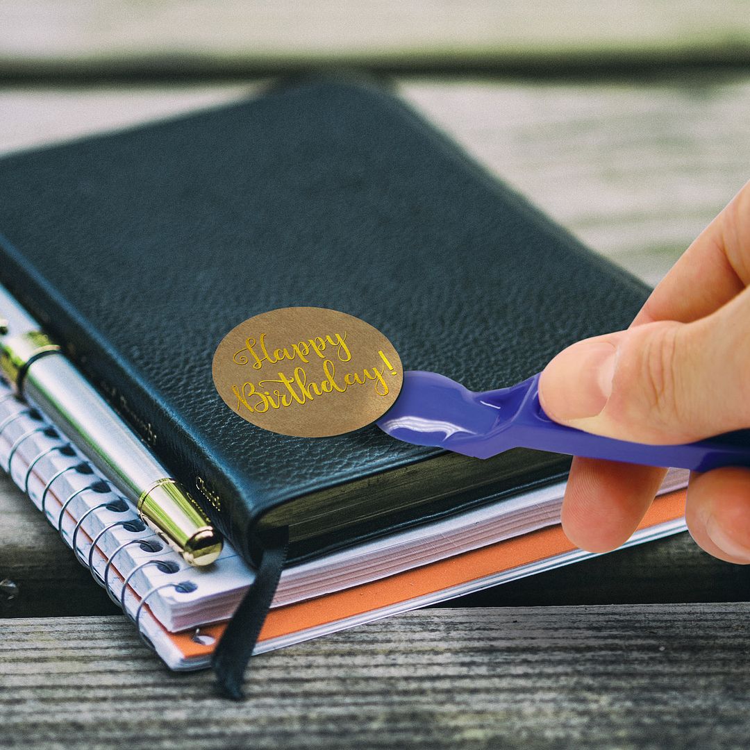 Garvey Label Remover and Sticker Remover Tool Set, Efficiently Removes Labels, Stickers, Seals, and Adhesives, 6-Inch Length, Blue, 5 Pack (091455)