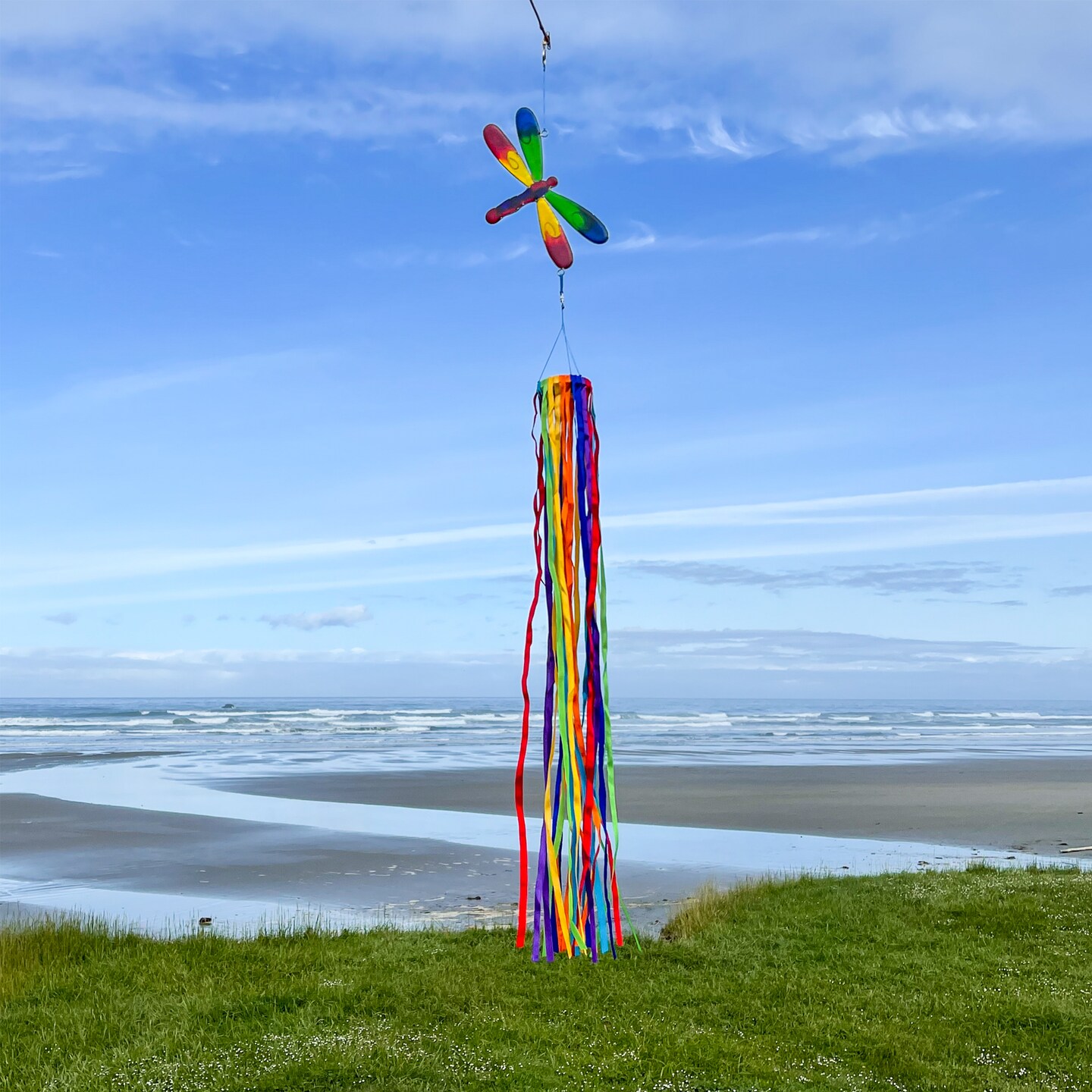 In the Breeze 5193 &#x2014; Dragonfly &#x26; Ribbon Windsock