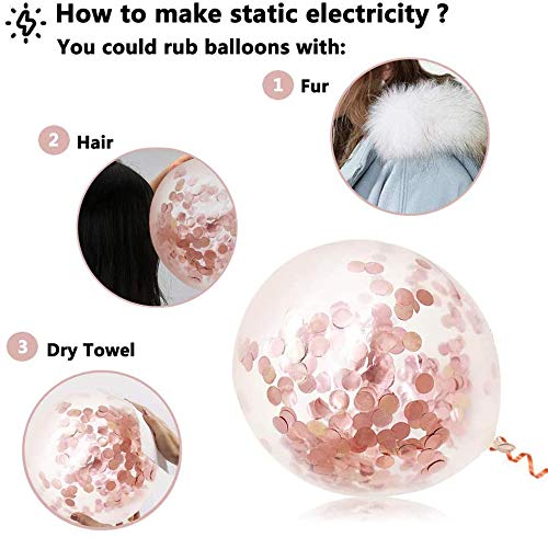 Rose Gold Birthday Party Decorations - Happy Birthday Banner, Rose Gold Fringe Curtain, Heart and Star Foil Confetti Balloons, and Hanging Swirls for Women's and Girls' Princess Parties