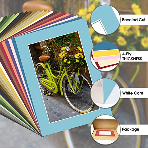 Pack of 25 Acid Free , Mix 5x7 Photo Mats Mattes Matting with White Core Bevel Cut for 4x6 Pictures in Premier
