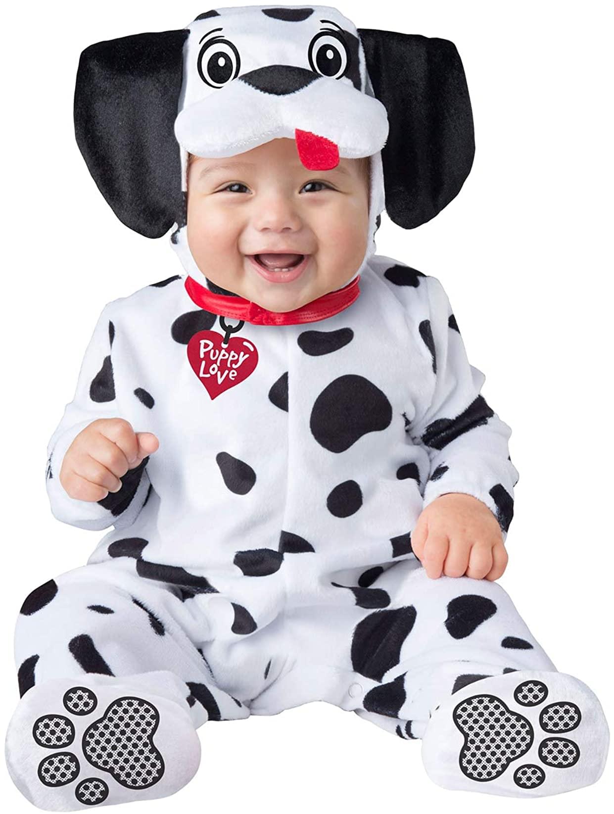 Baby Dalmation