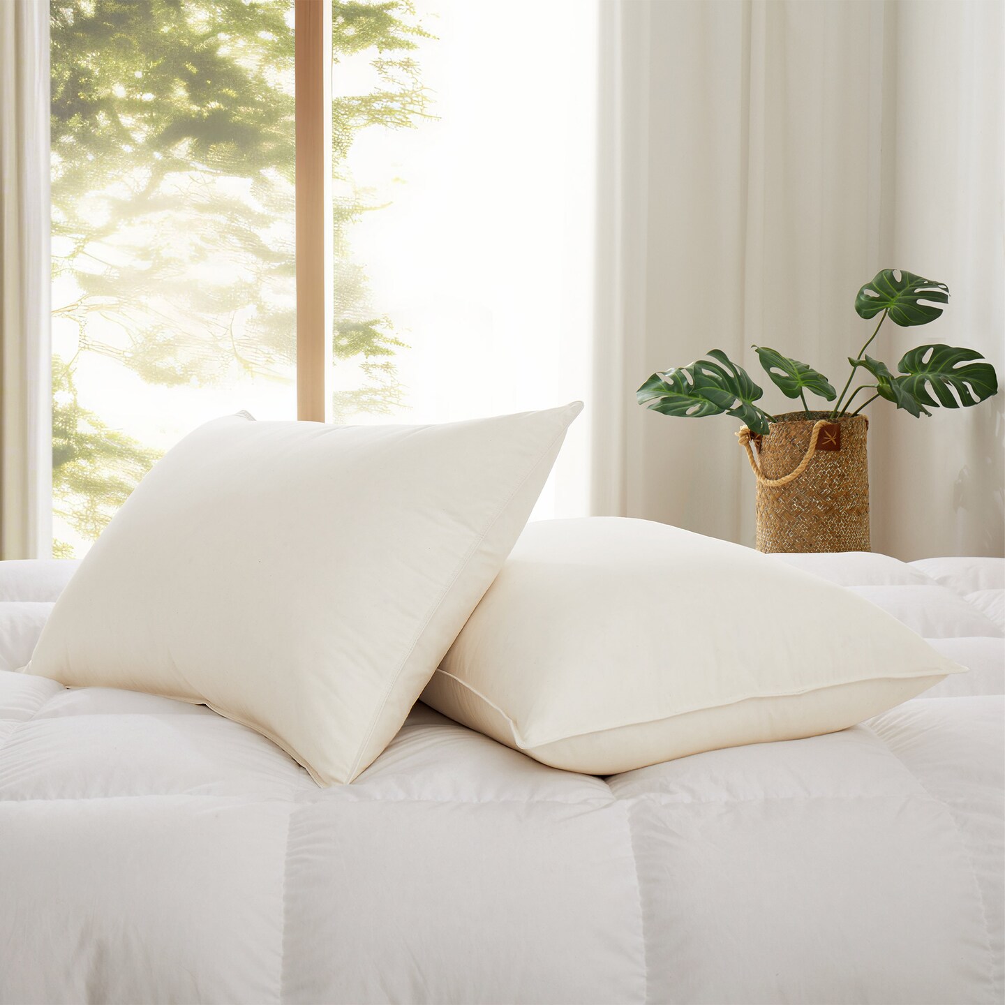 Puredown Organic Cotton Goose Down Feather Pillows Pillow-in-pillow Dual layer Sleeping Pillow Set of 2