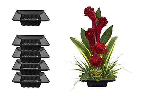 Curtis Wagner Plastics FAC-9900 Flower Arrangement Container (5-Pack) – Black, Square 5.5" x 5.5" Inside x 2.5" Depth Plastic Containers for Floral Arrangement and Wedding Centerpieces for Tables