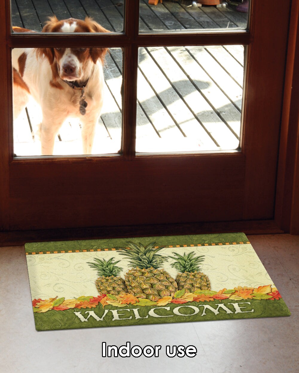 Pineapple Leaf Welcome Door Mat (18 x 30&#x22;)