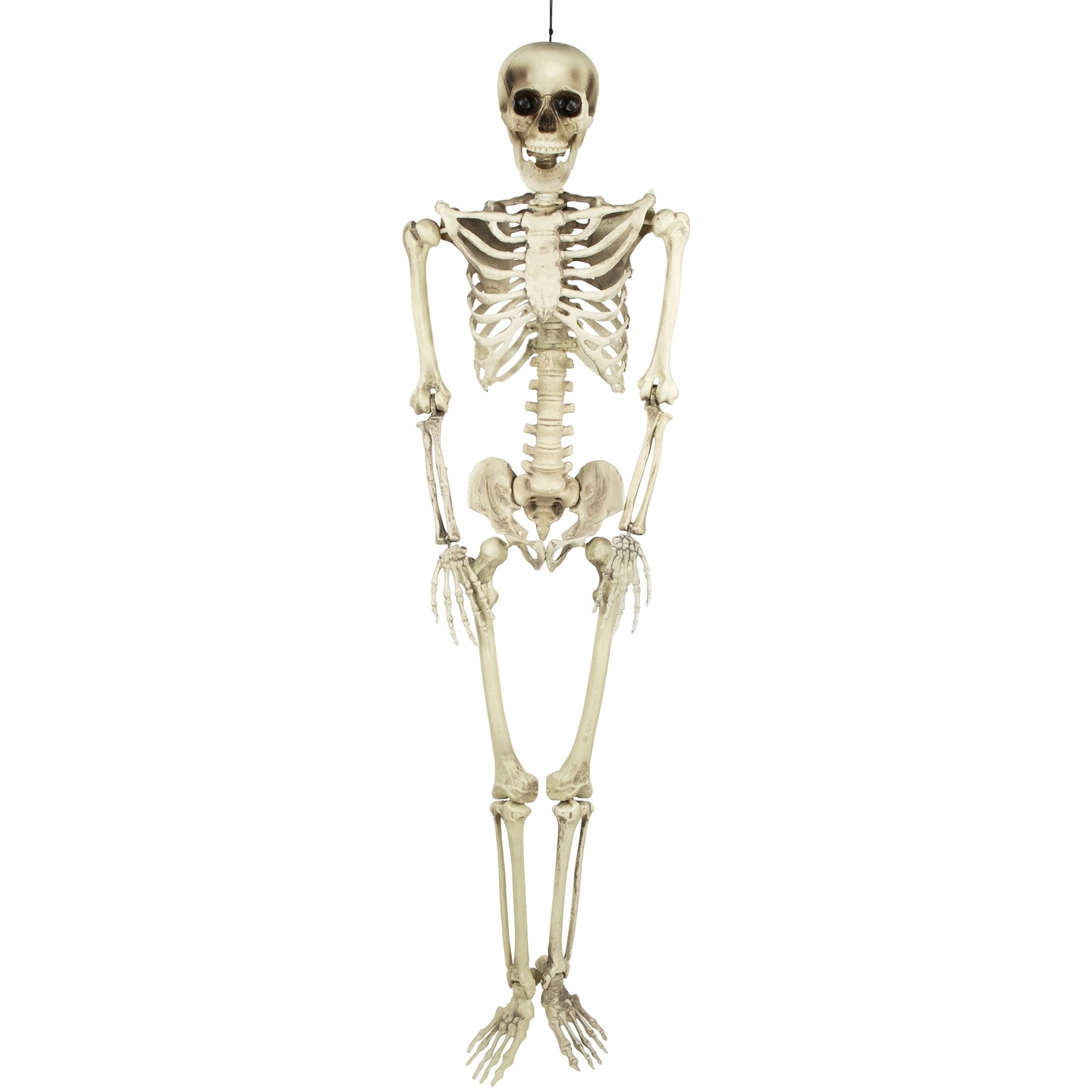 Northlight Life Size Skeleton Hanging Halloween Decoration - 5&#x27;