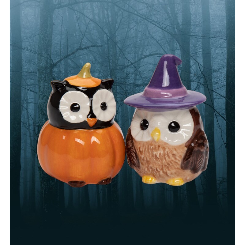 kevinsgiftshoppe Ceramic Witch Owl And Pumpkin Owl Salt And Pepper Shakers   Kitchen Decor Fall Decor Halloween Decor