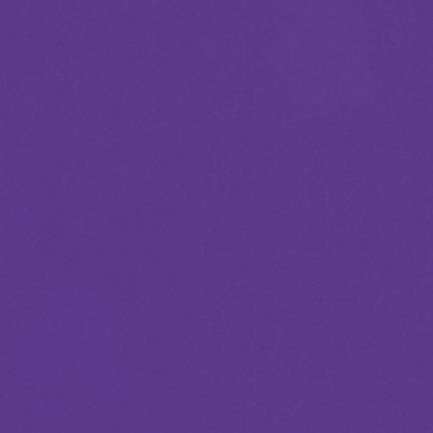 Rust-Oleum Painter&#x27;s Touch Ultra Cover 2X Spray Paint 12oz