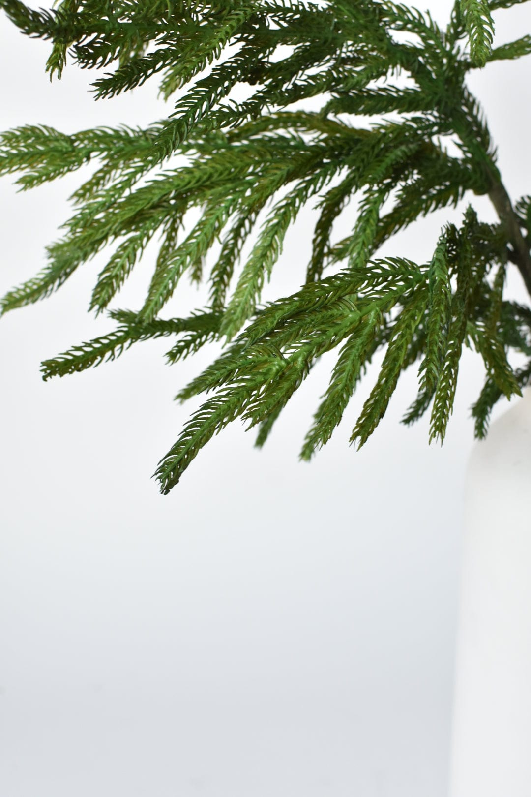 36 RealTouch HouseFloral Norfolk Pine Spray