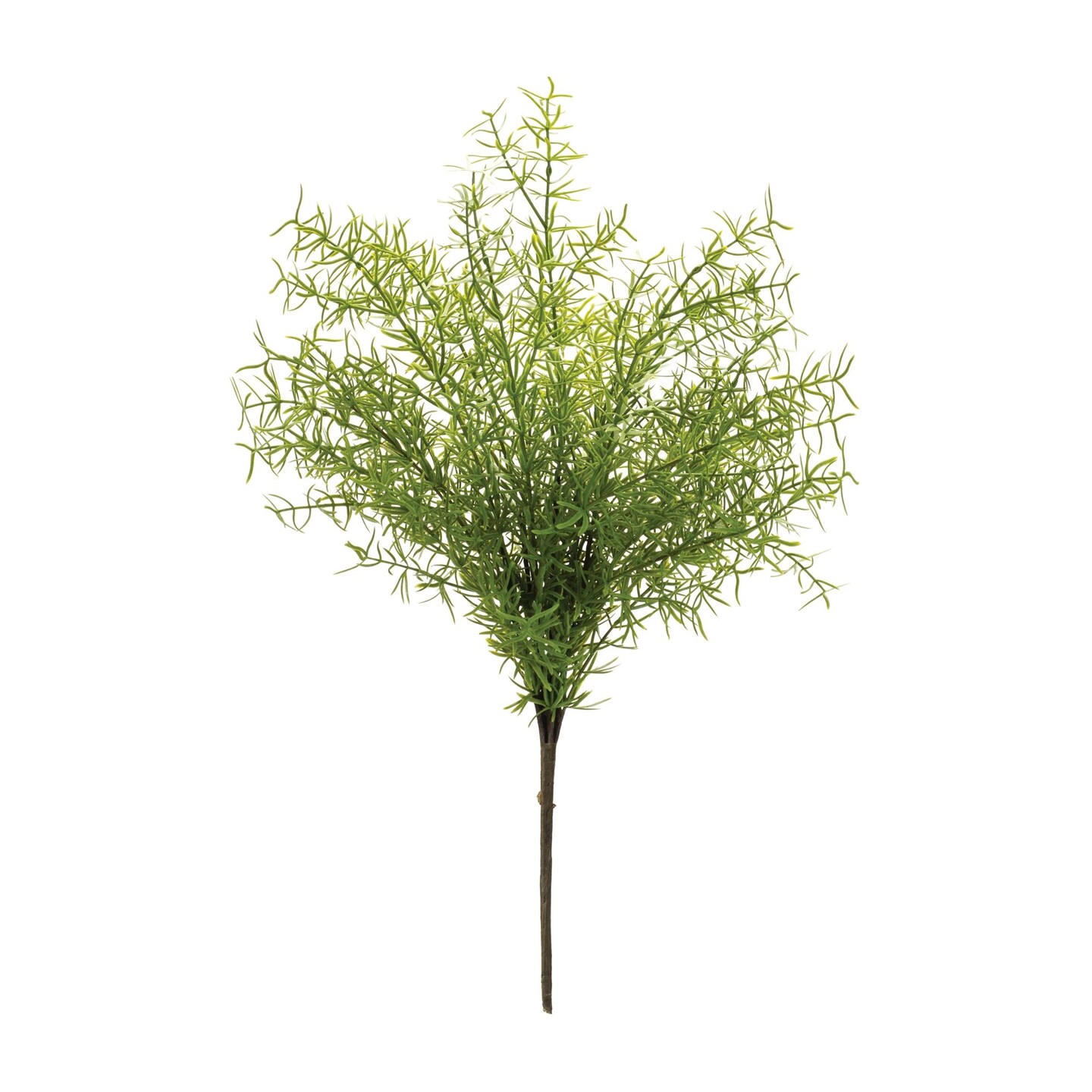 Melrose Set of 6 Green Variegated Asparagus Fern Bushes 18.5&#x22;
