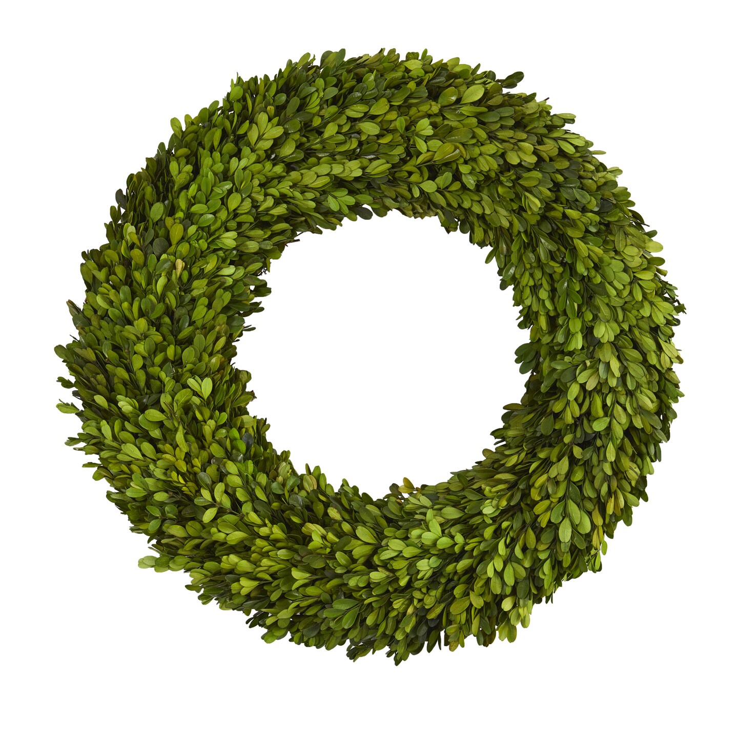 Nearly Natural Preserved Boxwood Artificial Spring Wreath, 24-Inch, Unlit