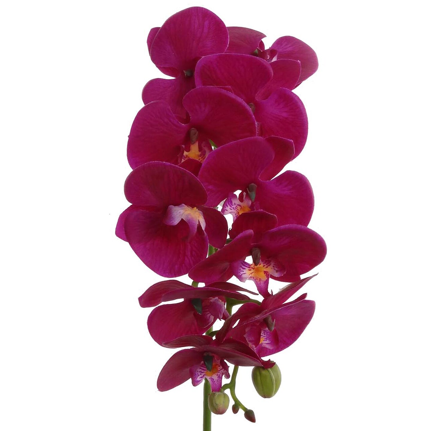 12-Pack: Real Touch Purple Phalaenopsis Orchid Stem by Floral Home&#xAE;
