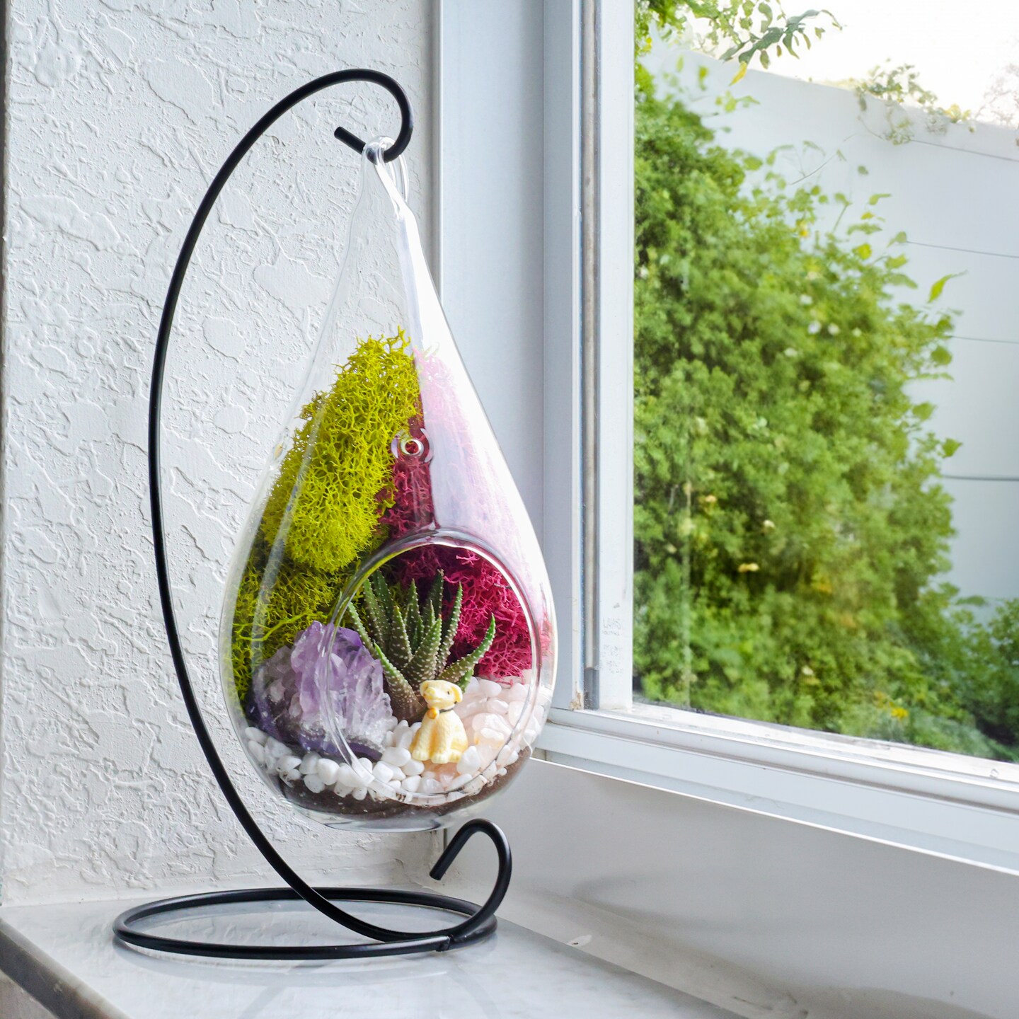 Creations by Nathalie 7 inch Glass Teardrop Live Succulent Terrarium Kit |  MakerPlace by Michaels