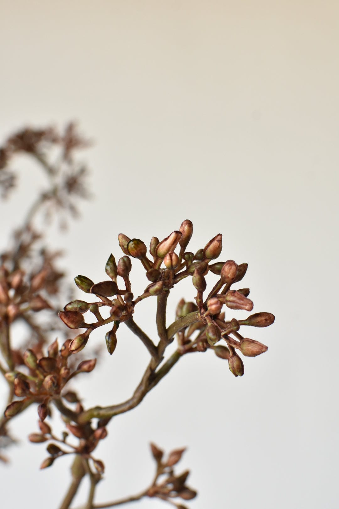 38&#x22; Faux Brown Sedum Berry Branch