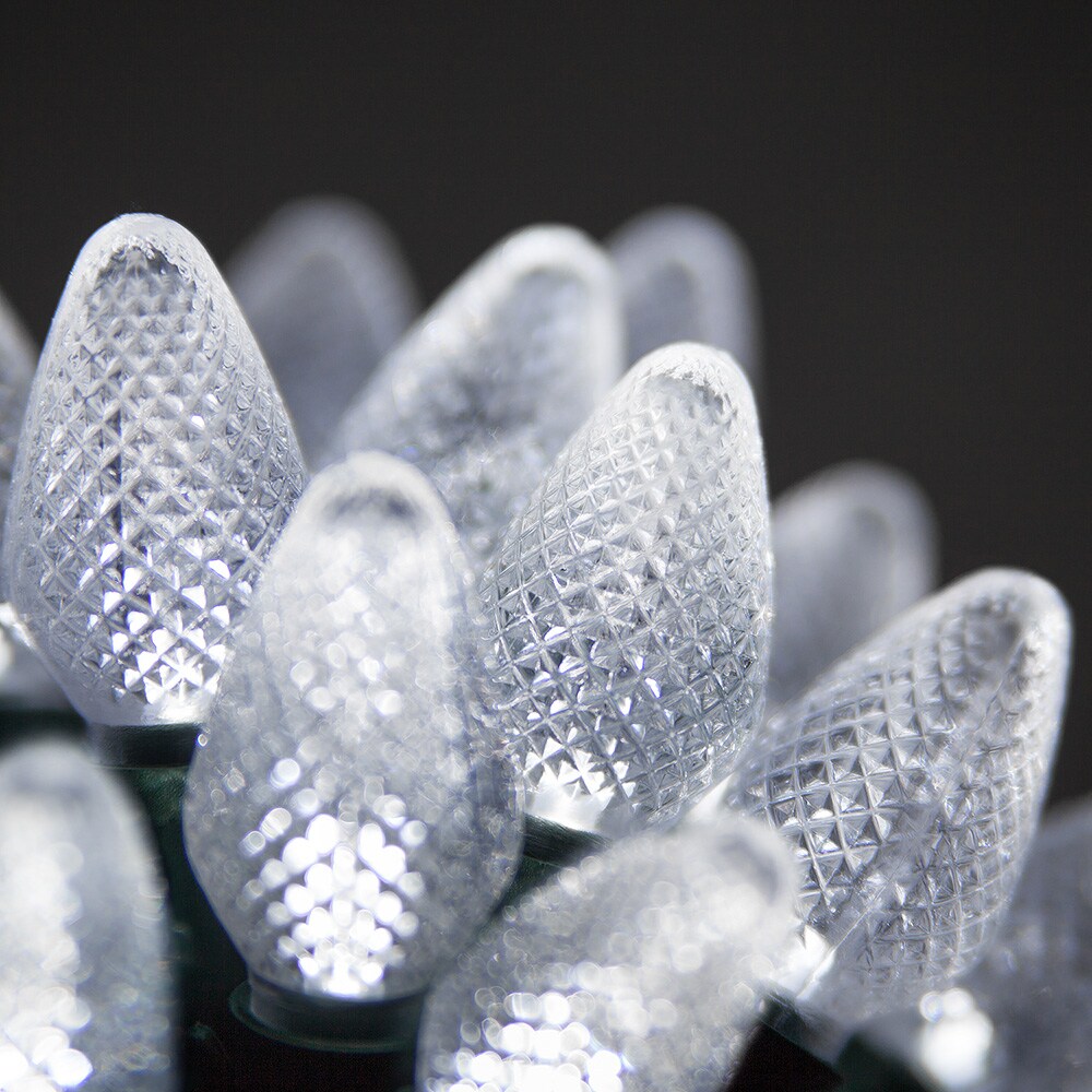 25 Cool White C7 LED Christmas Lights, Green Wire, 8" Spacing