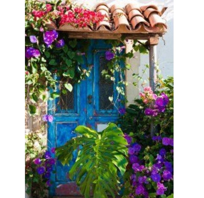 Outdoor Living and Style Blue and Purple Morning Glory Outdoor Canvas Rectangular Wall Art Decor 40" x 30"