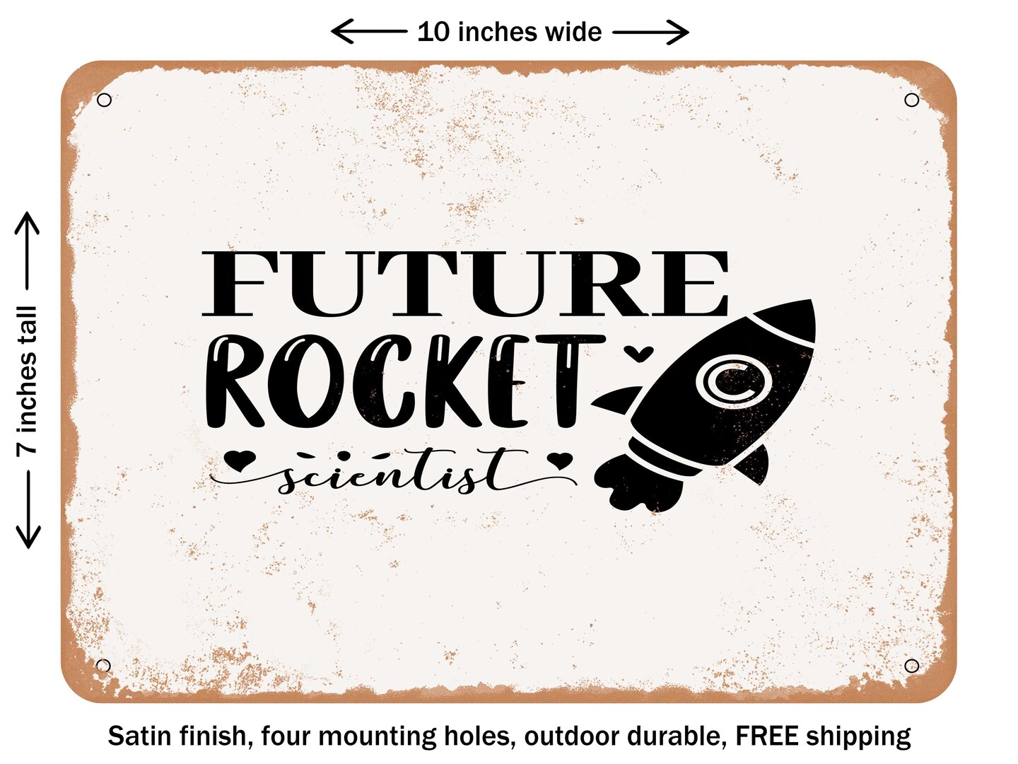 DECORATIVE METAL SIGN - Future Rocket Scientist - Vintage Rusty Look