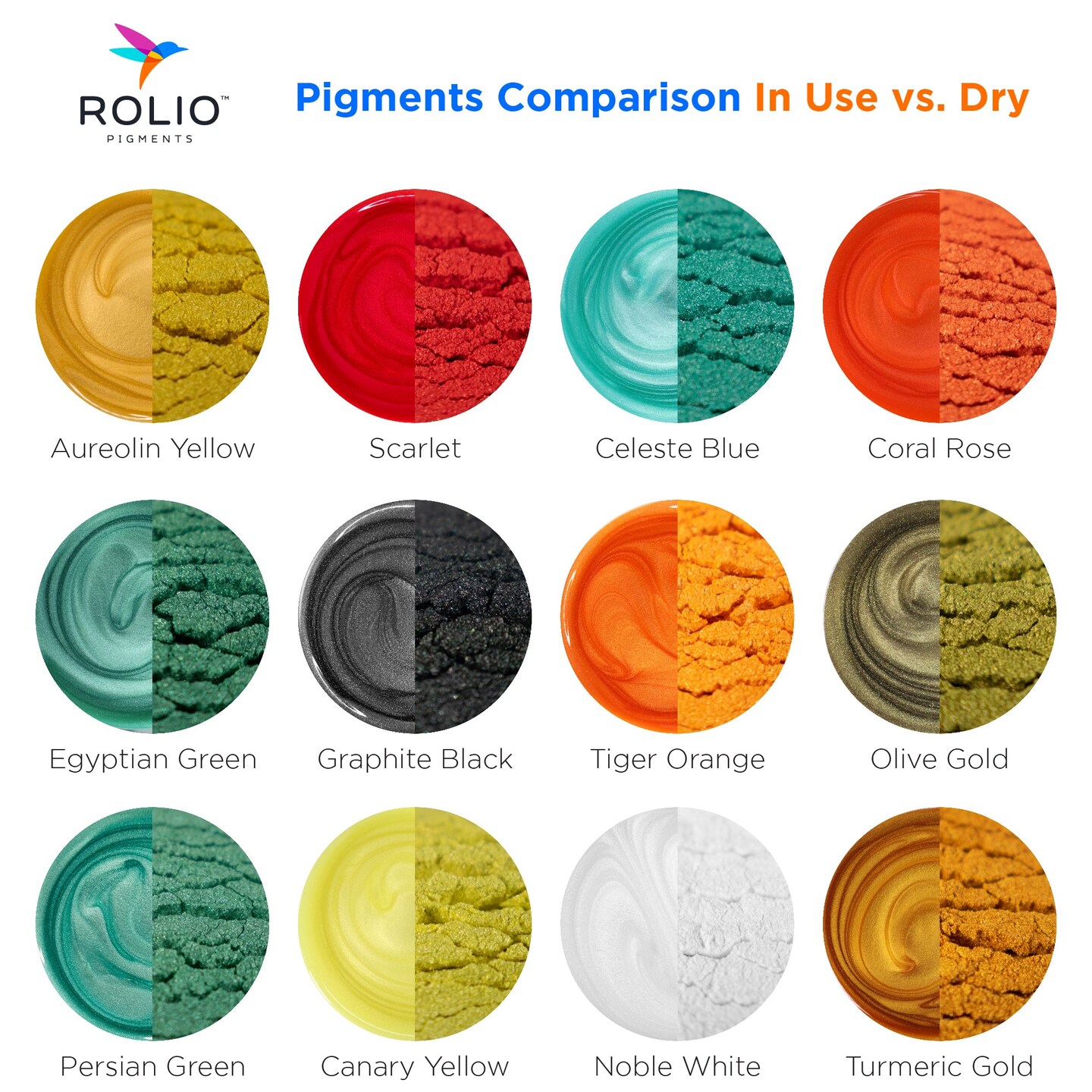 Rolio Mica Powder - Autumn Hues 12 Color Set - 10g Jars