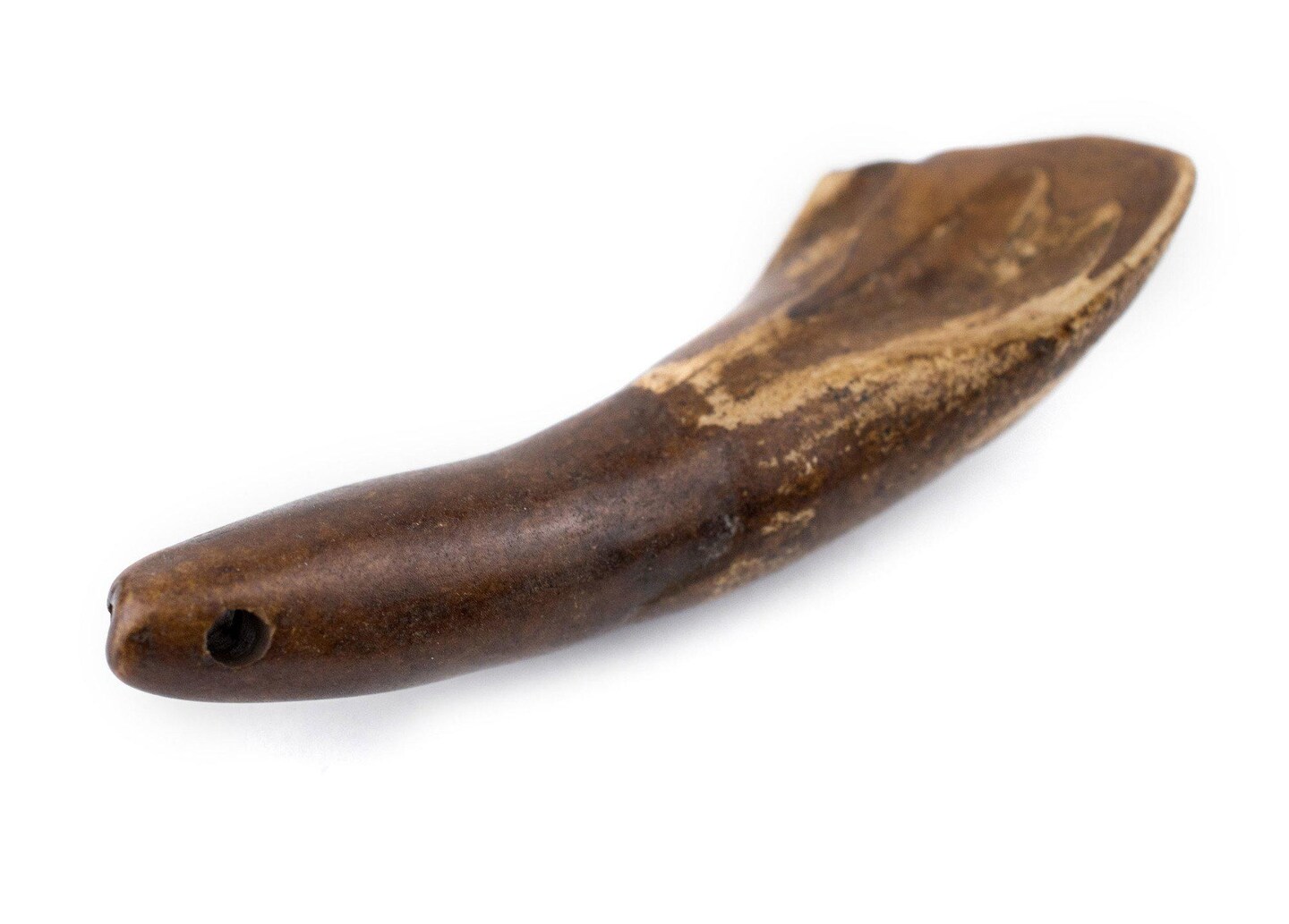 TheBeadChest Brown Water Buffalo Tooth Pendants Set of 4 Nepal Bone Large Hole