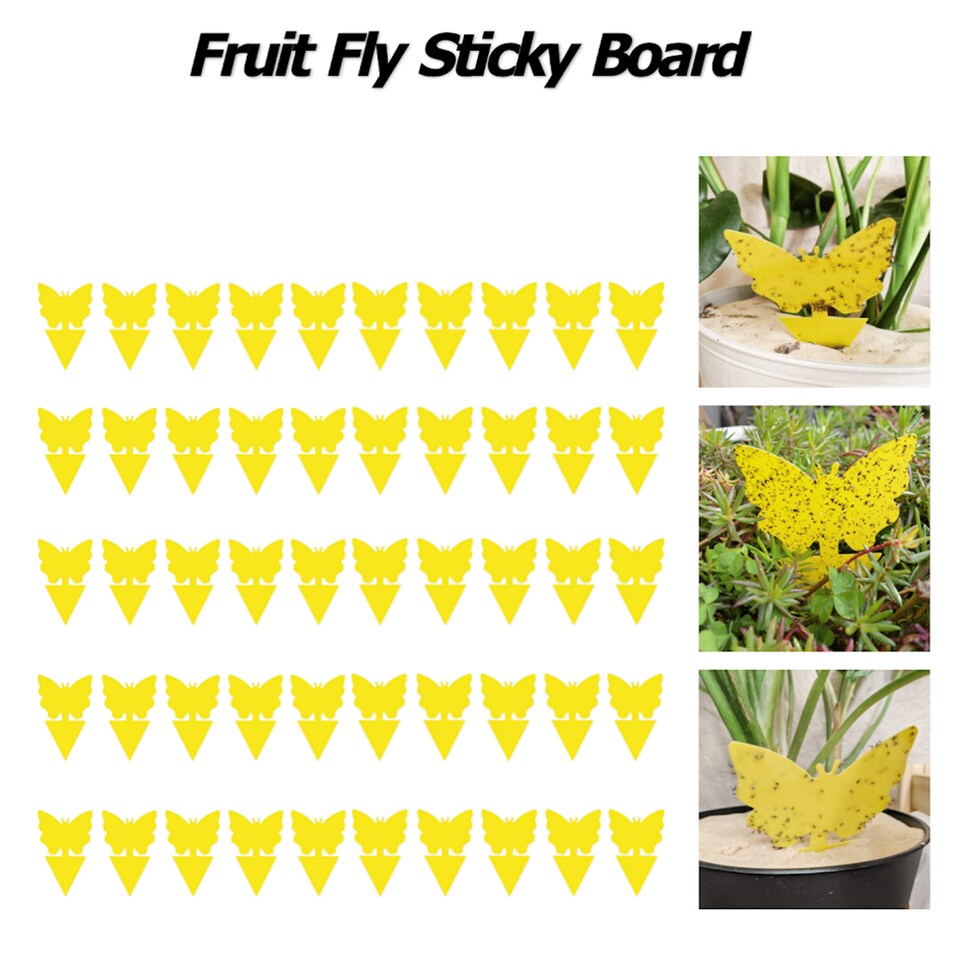 Fruit Fly Trap, Sticky Traps for Mosquito and Flying Insects, Insect Catcher