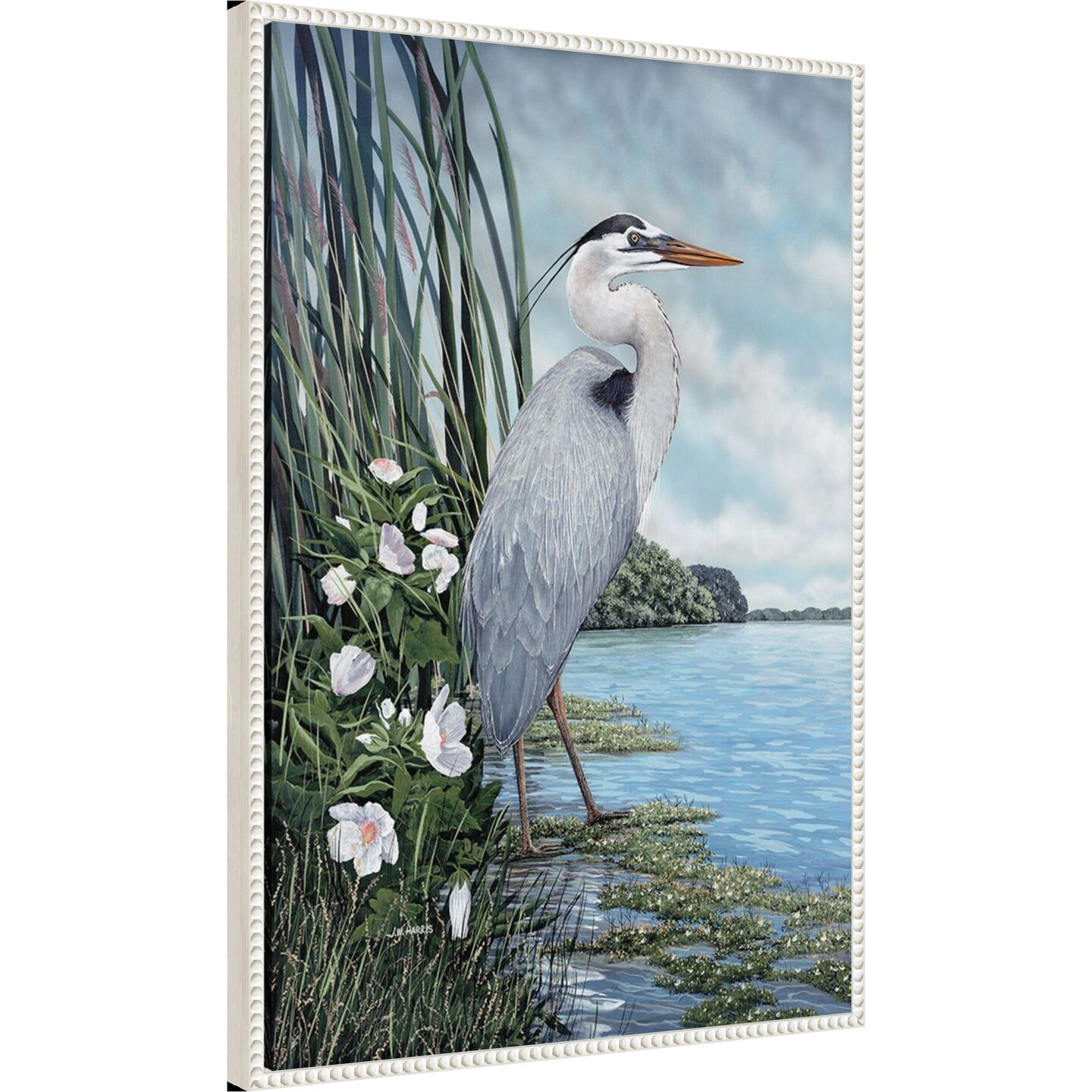 Great Blue Heron by James Harris Framed Canvas Wall Art